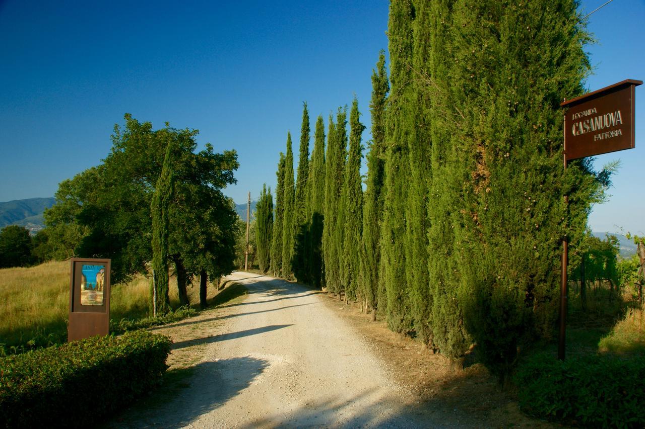 Locanda Casanuova Figline Valdarno Esterno foto